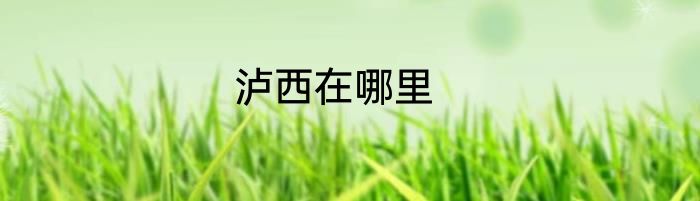 泸西在哪里