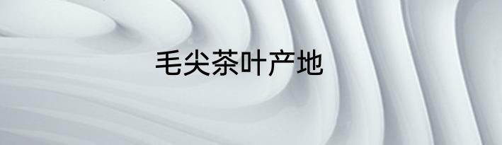 毛尖茶叶产地