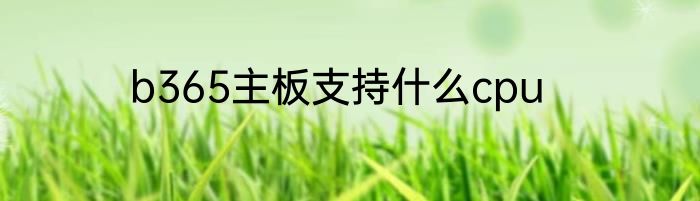 b365主板支持什么cpu
