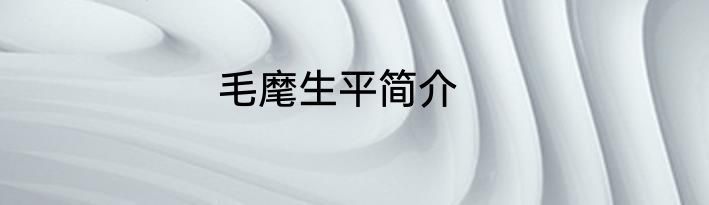 毛麾生平简介