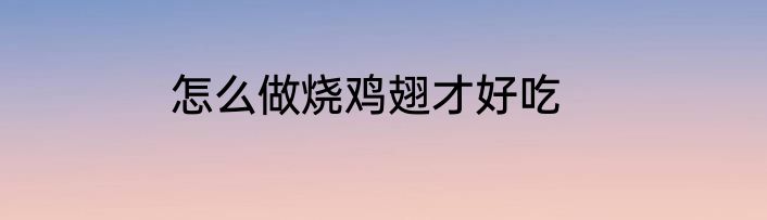 怎么做烧鸡翅才好吃