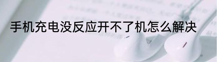 手机充电没反应开不了机怎么解决