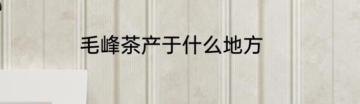 毛峰茶产于什么地方