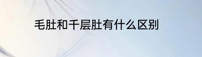 毛肚和千层肚有什么区别