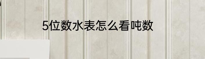 5位数水表怎么看吨数