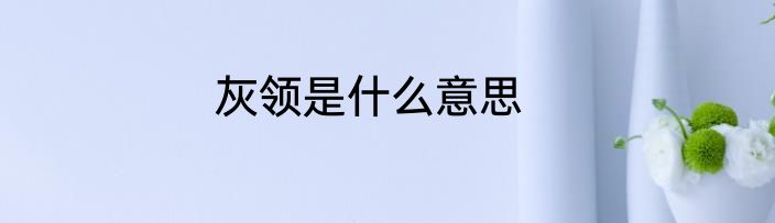 灰领是什么意思