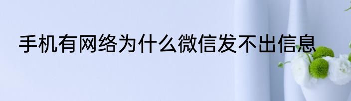手机有网络为什么微信发不出信息