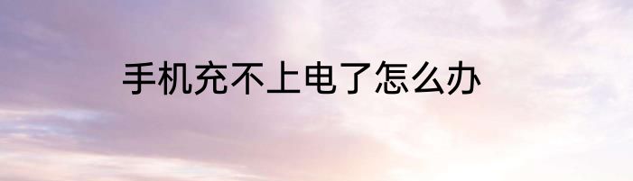 手机充不上电了怎么办