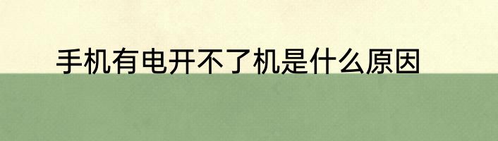 手机有电开不了机是什么原因