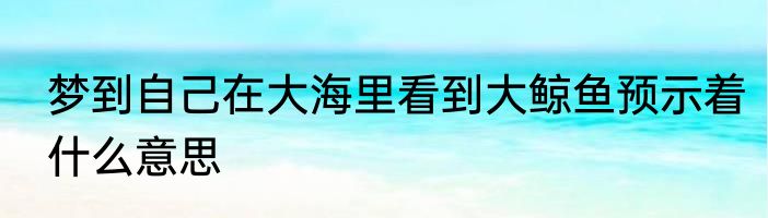 梦到自己在大海里看到大鲸鱼预示着什么意思