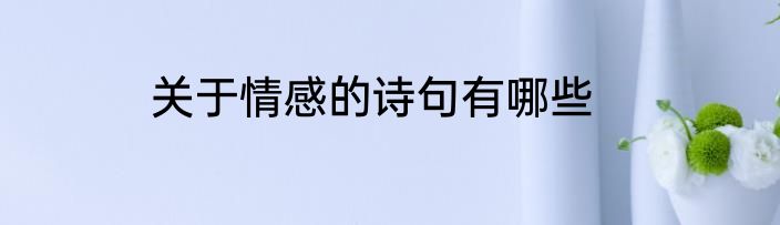 关于情感的诗句有哪些