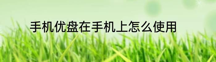 手机优盘在手机上怎么使用