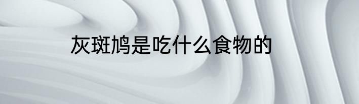 灰斑鸠是吃什么食物的