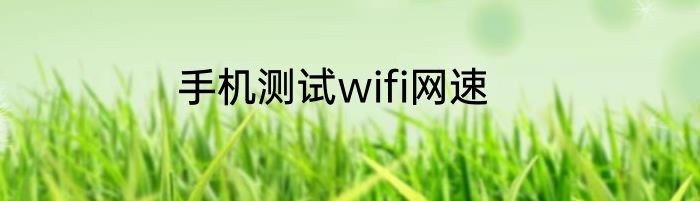 手机测试wifi网速
