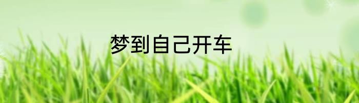 梦到自己开车