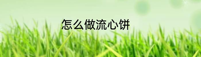 怎么做流心饼