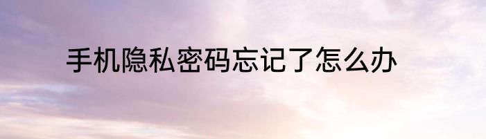 手机隐私密码忘记了怎么办