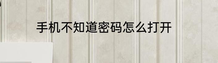 手机不知道密码怎么打开