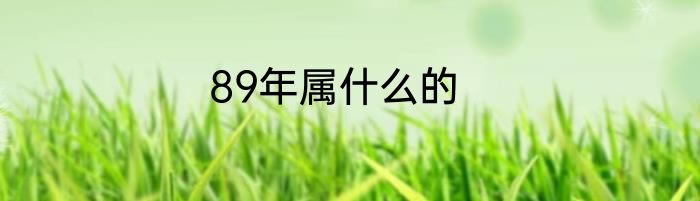 89年属什么的