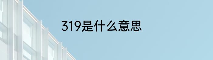 319是什么意思