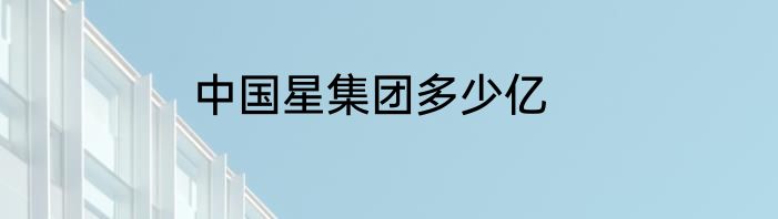中国星集团多少亿