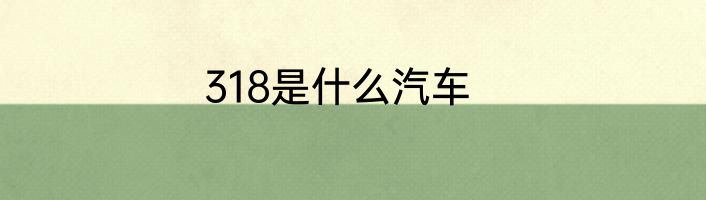 318是什么汽车