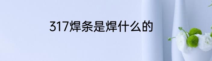 317焊条是焊什么的