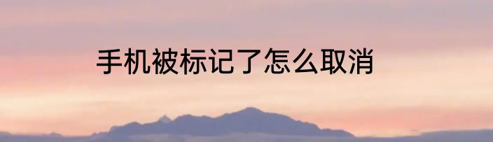 手机被标记了怎么取消