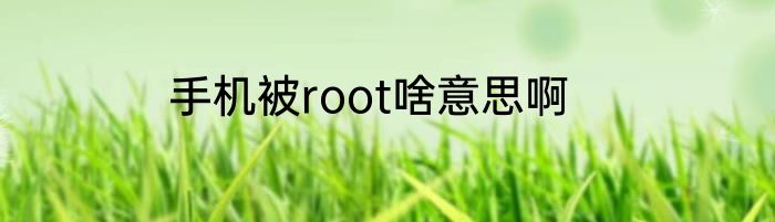 手机被root啥意思啊