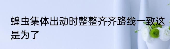 蝗虫集体出动时整整齐齐路线一致这是为了