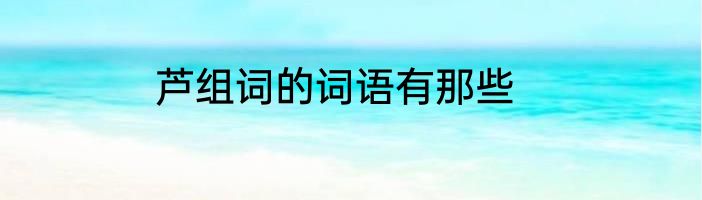 芦组词的词语有那些