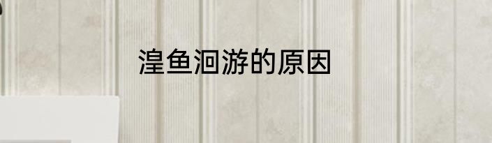 湟鱼洄游的原因