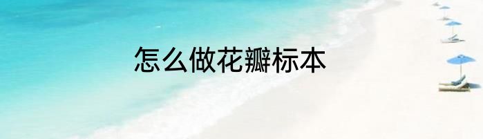 怎么做花瓣标本