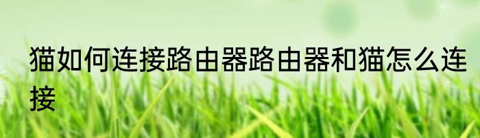 猫如何连接路由器路由器和猫怎么连接