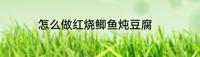 怎么做红烧鲫鱼炖豆腐