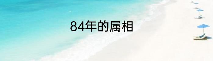 84年的属相