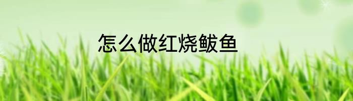 怎么做红烧鲅鱼