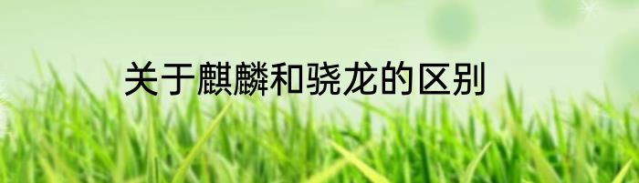 关于麒麟和骁龙的区别