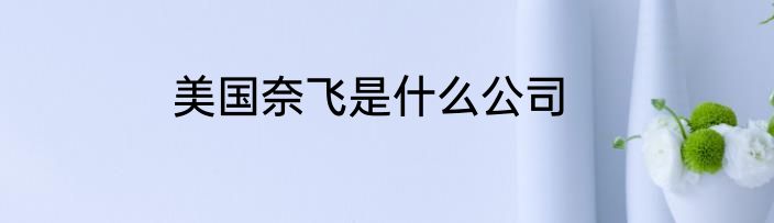 美国奈飞是什么公司
