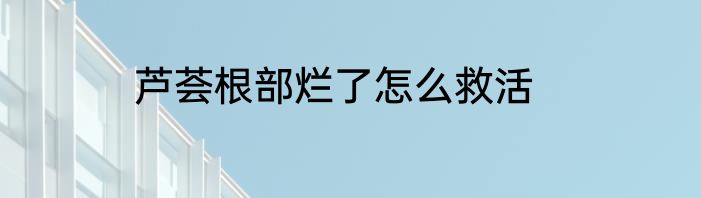 芦荟根部烂了怎么救活