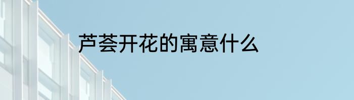 芦荟开花的寓意什么