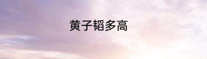 黄子韬多高