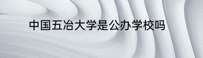中国五冶大学是公办学校吗