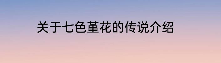 关于七色堇花的传说介绍