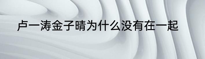 卢一涛金子晴为什么没有在一起