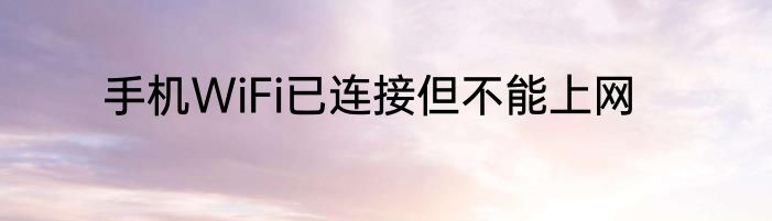 手机WiFi已连接但不能上网