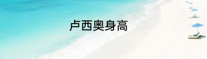 卢西奥身高