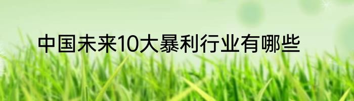 中国未来10大暴利行业有哪些