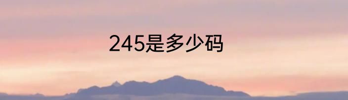 245是多少码