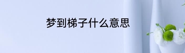梦到梯子什么意思